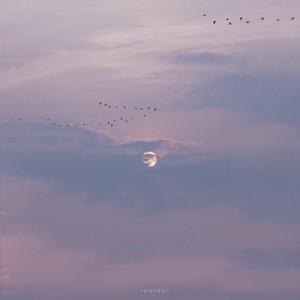 美女被❌到高潮喷出白在线观看
